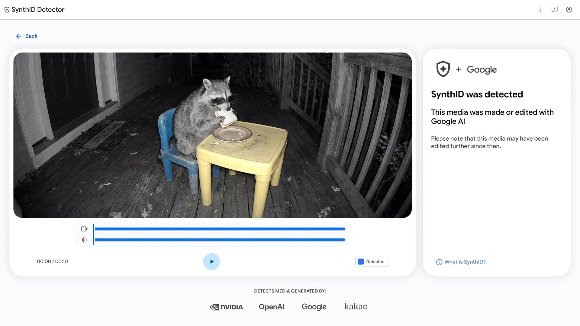 Interface web do SynthID Detector em tela clara exibindo um vídeo de guaxinim à mesa e um painel lateral confirmando a detecção de mídia gerada por IA